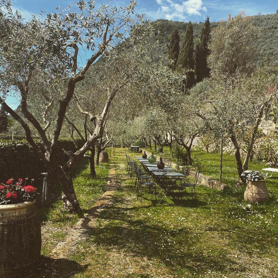 Sotto Il Cielo Di Toscana Appartamenti In Tenuta Only Adults No Pet Camaiore Extérieur photo