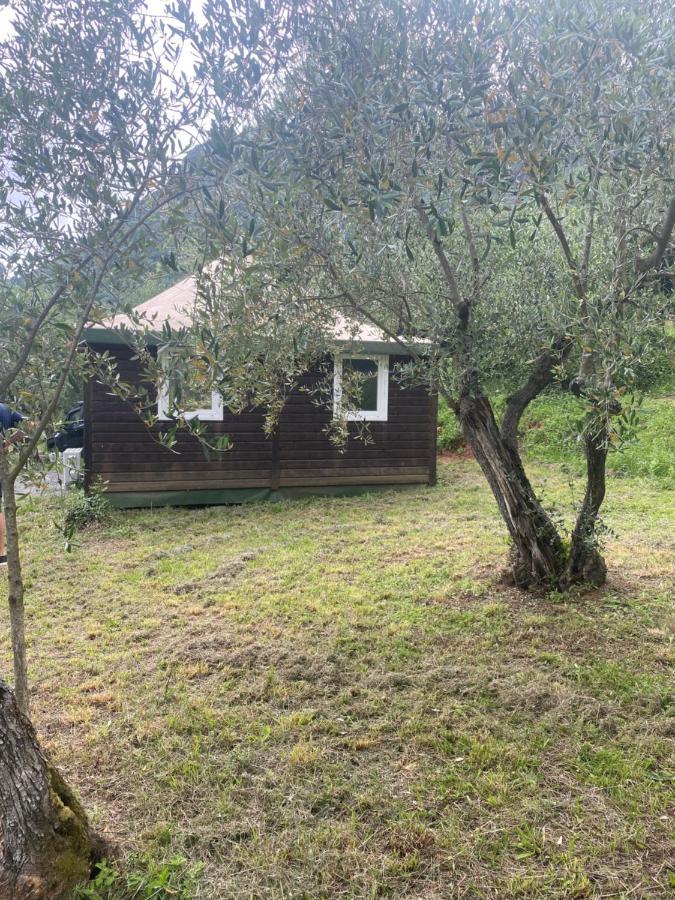 Sotto Il Cielo Di Toscana Appartamenti In Tenuta Only Adults No Pet Camaiore Extérieur photo