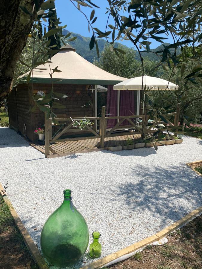 Sotto Il Cielo Di Toscana Appartamenti In Tenuta Only Adults No Pet Camaiore Extérieur photo