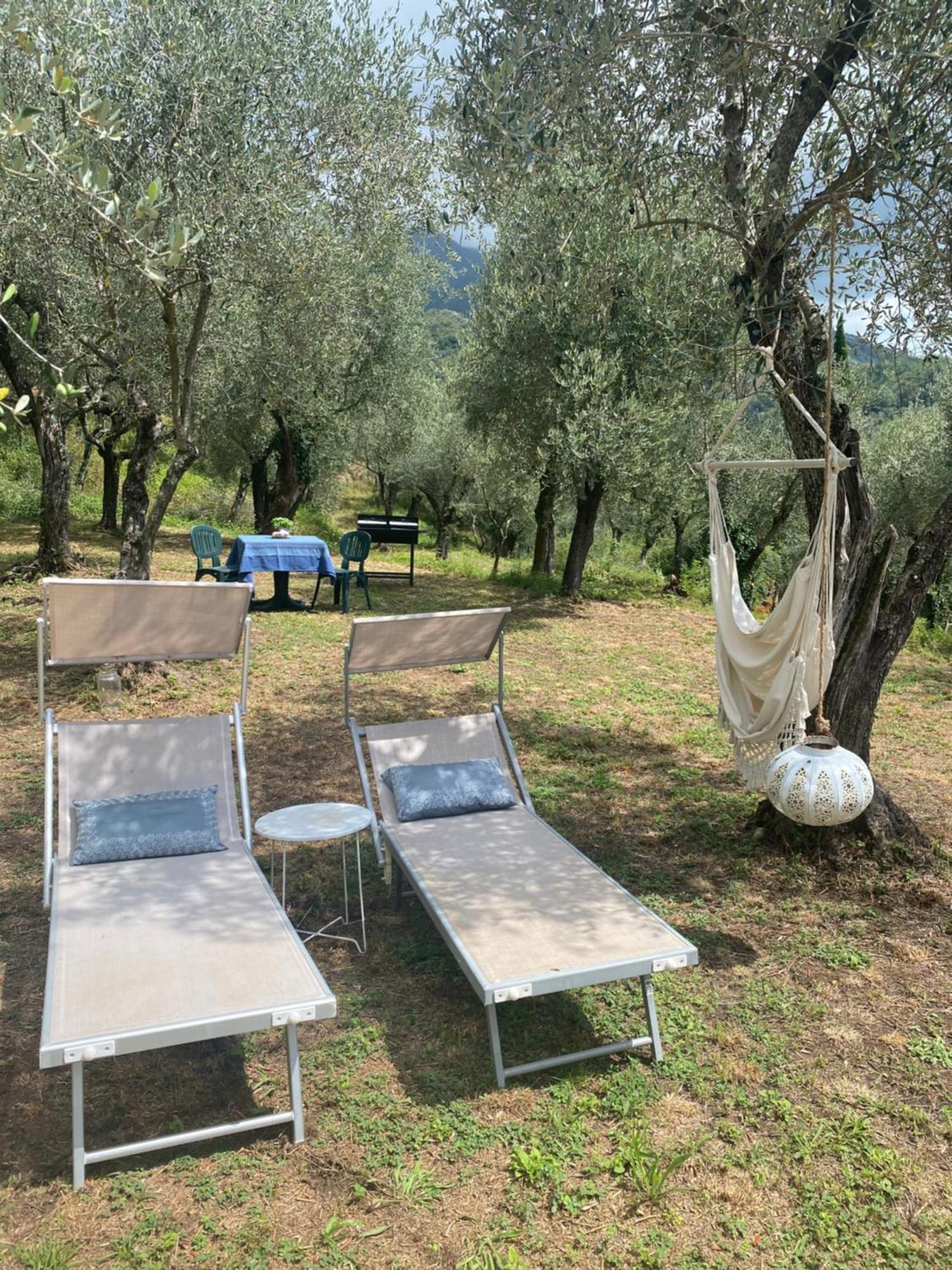 Sotto Il Cielo Di Toscana Appartamenti In Tenuta Only Adults No Pet Camaiore Extérieur photo