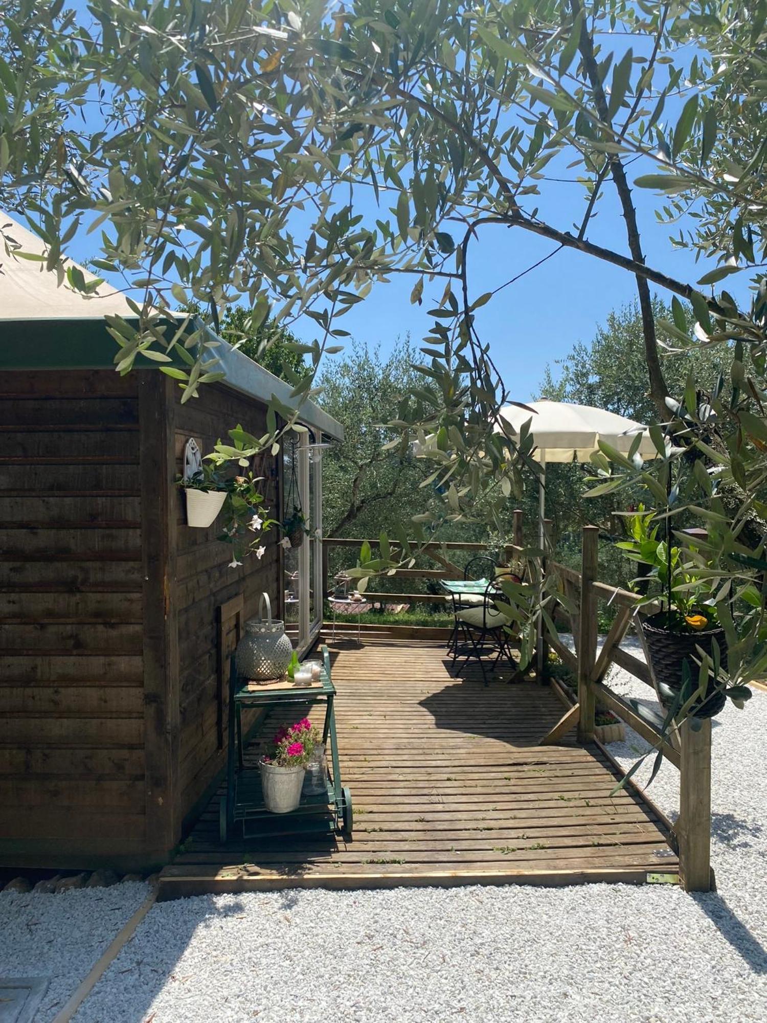 Sotto Il Cielo Di Toscana Appartamenti In Tenuta Only Adults No Pet Camaiore Extérieur photo